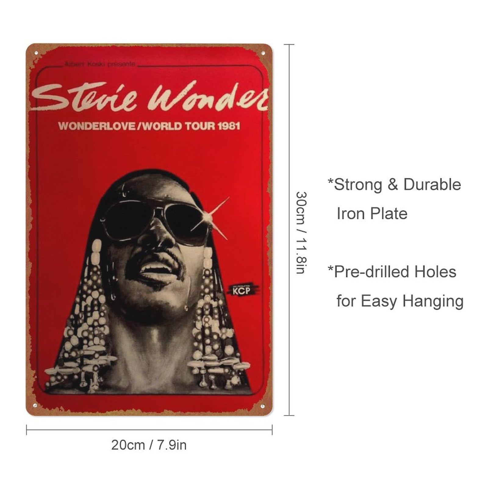 Stevie Wonder Poster Music Retro Metal Tin Sign 8x12 Inch