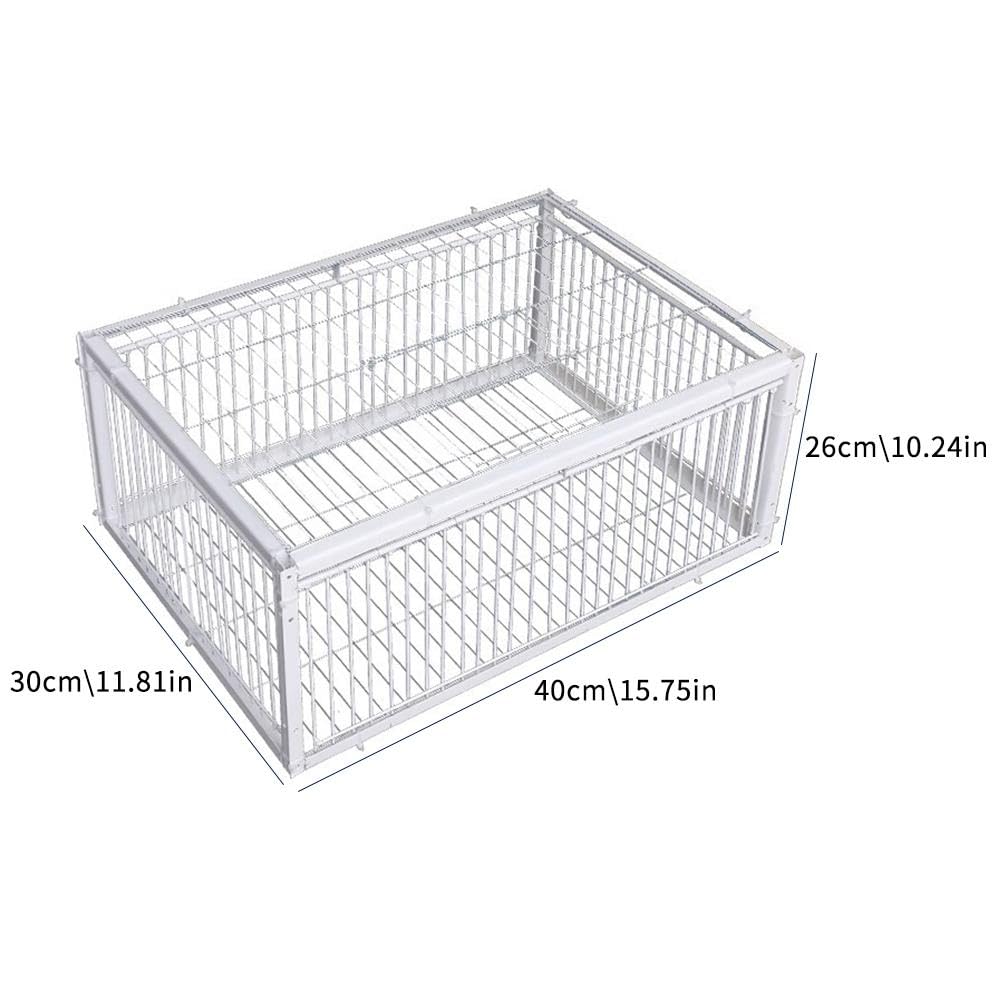 Jaula trampa para palomas, entrada unidireccional, portátil, fácil montaje, jaula de hierro resistente al óxido para palomas y pájaros, diseño a prueba de escapes, ideal para control de aves