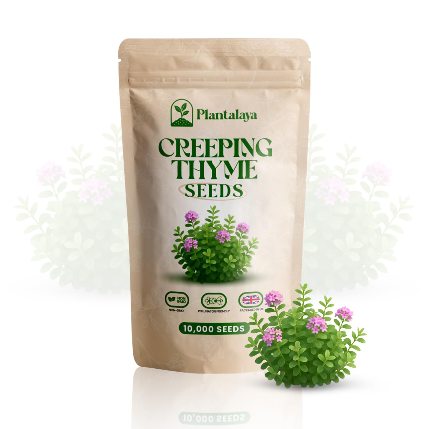 Creeping Thyme Seeds – Ground Cover Plants & Lawn Alternative by Plantalaya – Creeping Thyme Plants, Bee Friendly, Non-GMO Herb Seeds 2g