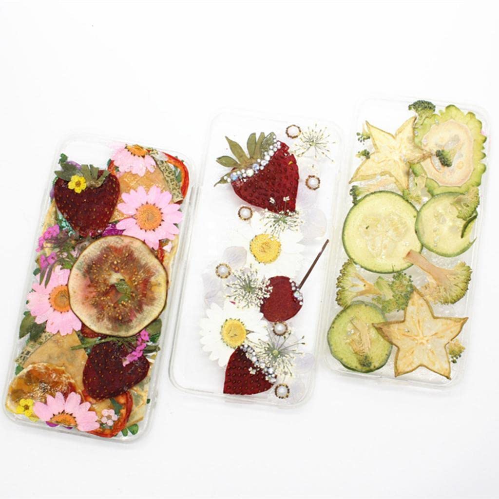MERISHOPP 10X Pressed Natural Dried Fruits Orange Slices DIY Jewelry Photography ToolsCollectibles 2
