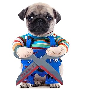 Disfraces Halloween para Perro, Disfraces para Mascotas, Conjuntos de Fiesta de Cosplay para Perro, Ropa Divertida para Mascotas, Ropa para Gatos de Fiesta de Halloween de Carnaval (M)