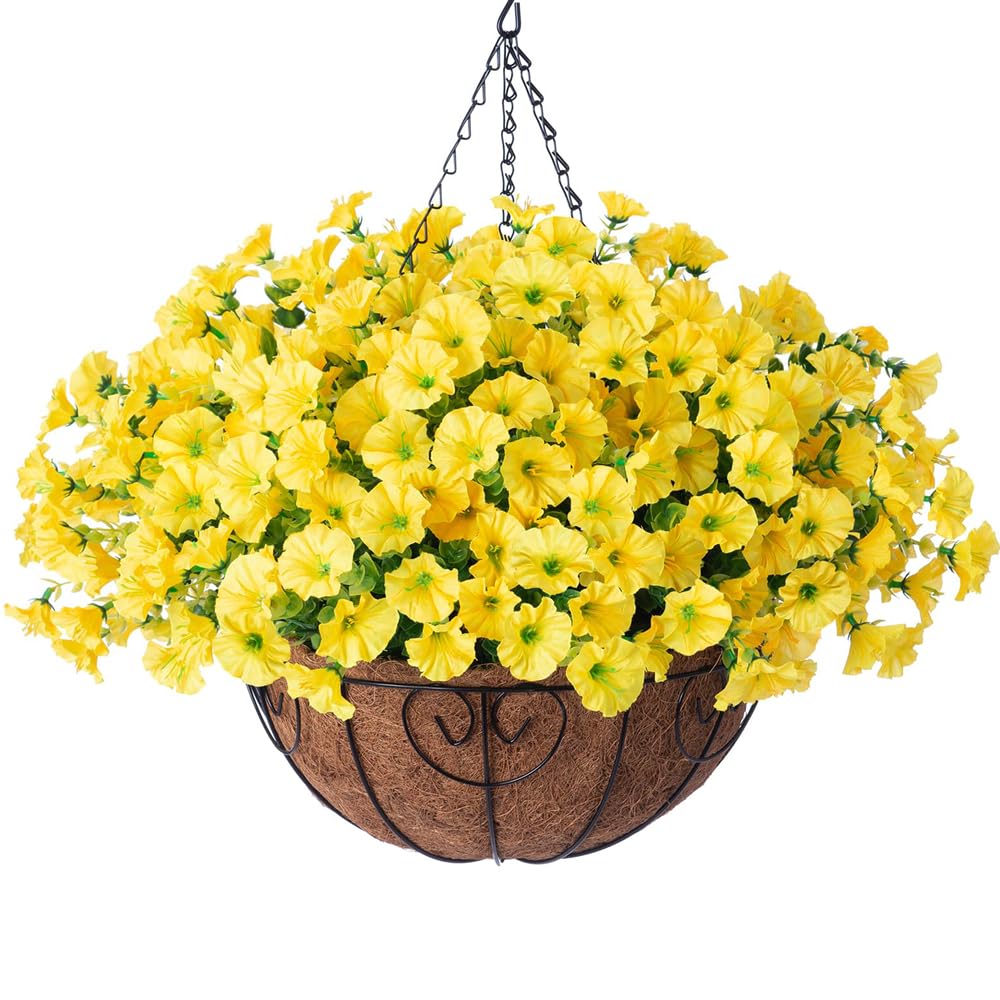 HyeFlora Morning Glory Hanging Basket