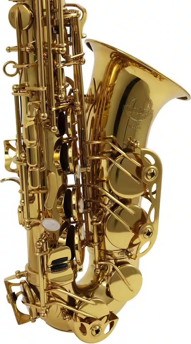 Woodbrass WSA300 – Saxophone Alto Mi♭ Verni – Instrument à vent Saxo d'étude Débutant Prêt à Jouer, Laiton Verni, Sonorité Supérieure, Étui & Accessoires Inclus