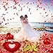 Valentines Day Red Wedding Decorations Artificial Petals Heart Shaped Love Foil Balloons Silk Rose Petals Romantic Design for Wedding Engagement Anniversary Confetti Centerpieces Cake Table Decoration