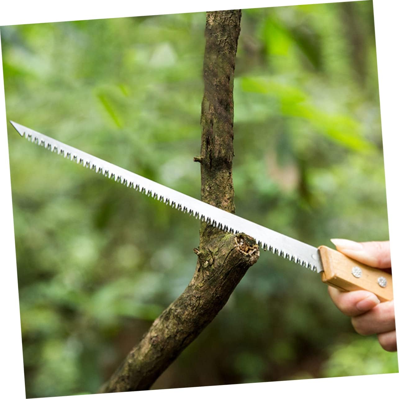 Happyyami 6 Pcs Garden Pruning Saw Tools Mini Saw for Crafts Wood Saw Hand Tree Saw Hand Saws Hand Held Saw Wood Cutter Metal Cutting Saw Small Saw Cutting Machine Pocket Manganese Just