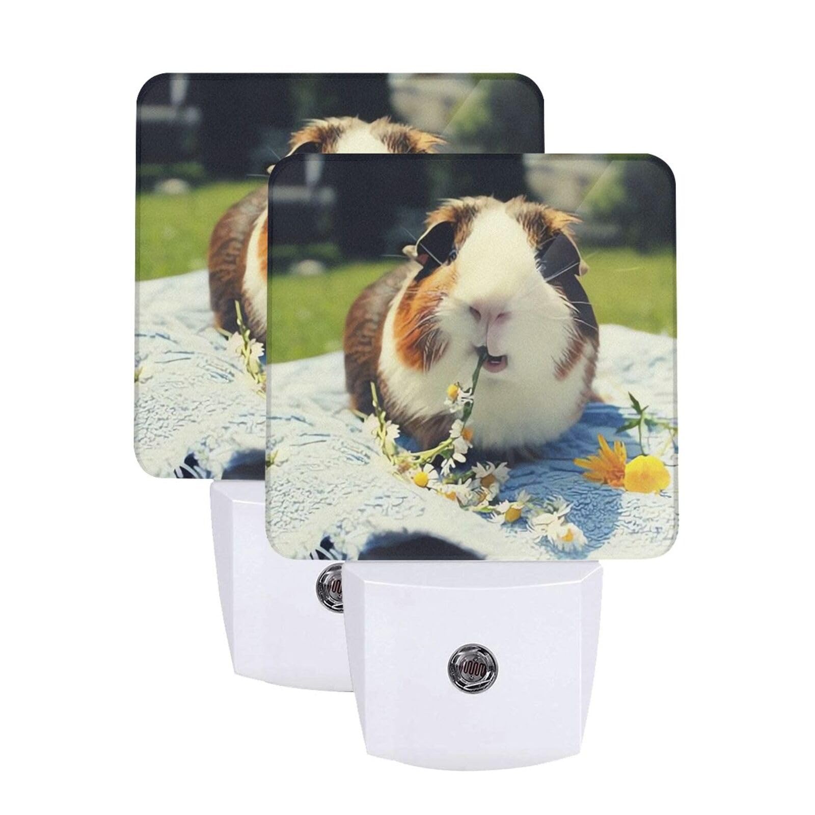 Guinea Pig LED Night Lights 2 Pack Plug in Night Light Dusk to Dawn Sensor Night Lamp Auto-On/Off Plug into Wall Nightlights for Adults Kids Room Bedroom Bathroom Decor