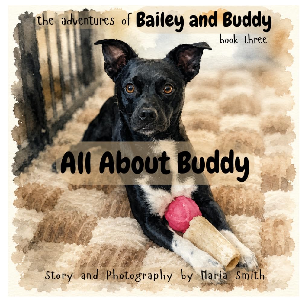 The Adventures of Bailey and Buddy: Book Three All About Buddy