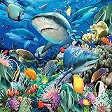 ✨【5000 piezas de puzzle】 Nuestras 5000 piezas de jigsaws están hechas con una calidad premium y mide 105 x 181 cm cuando se complete, la tecnología de impresión de alta definición, el rompecabezas es más limpio y más brillante, pero no pasa por un largo tiempo. After completion, you can hung it at home as decoration.
