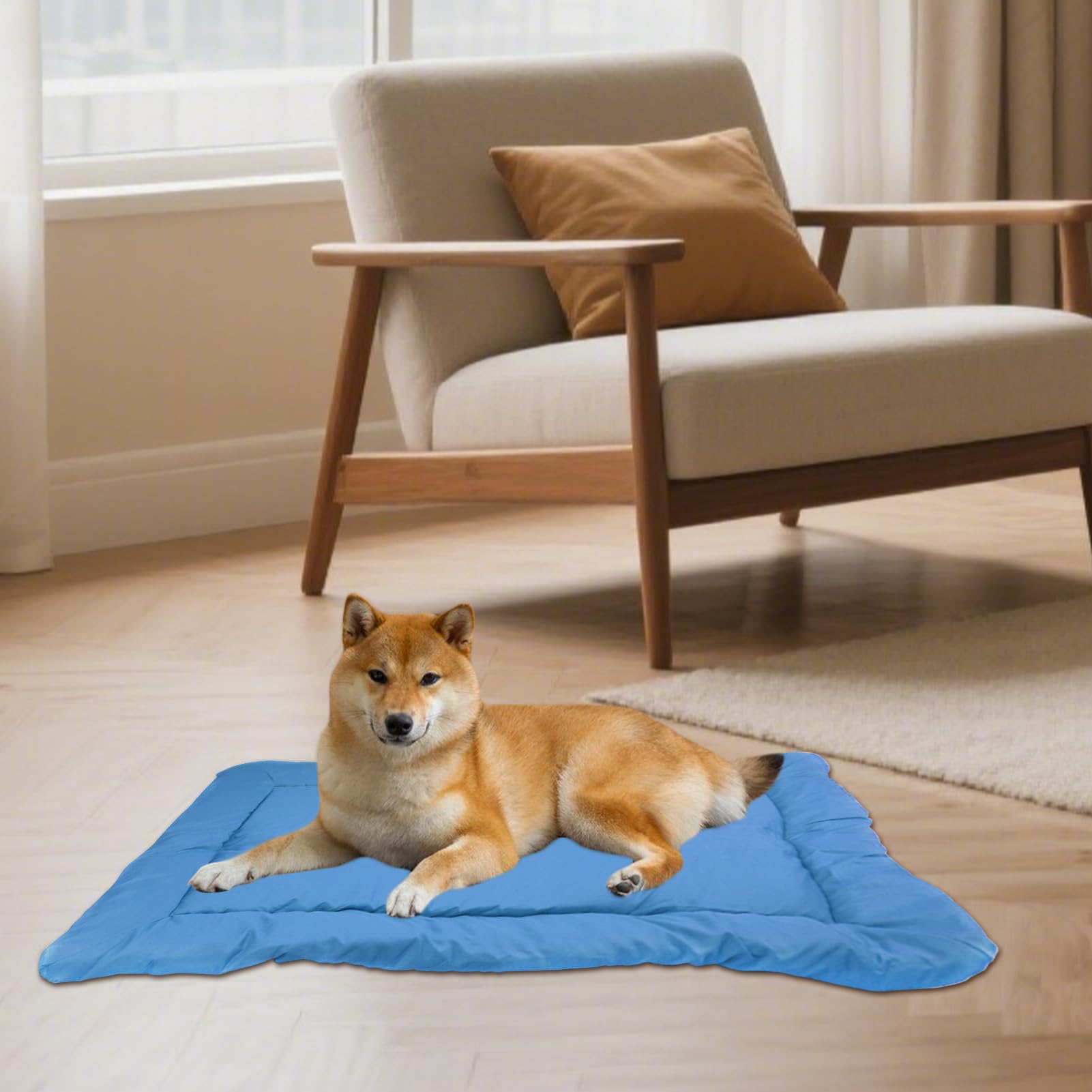 Cuccia Esterna Impermeabile per Cane Per Taglie Piccola, Media, Grande, | Letti Portatili per Cani da Campeggio e Viaggio Articoli Animali da Esterno