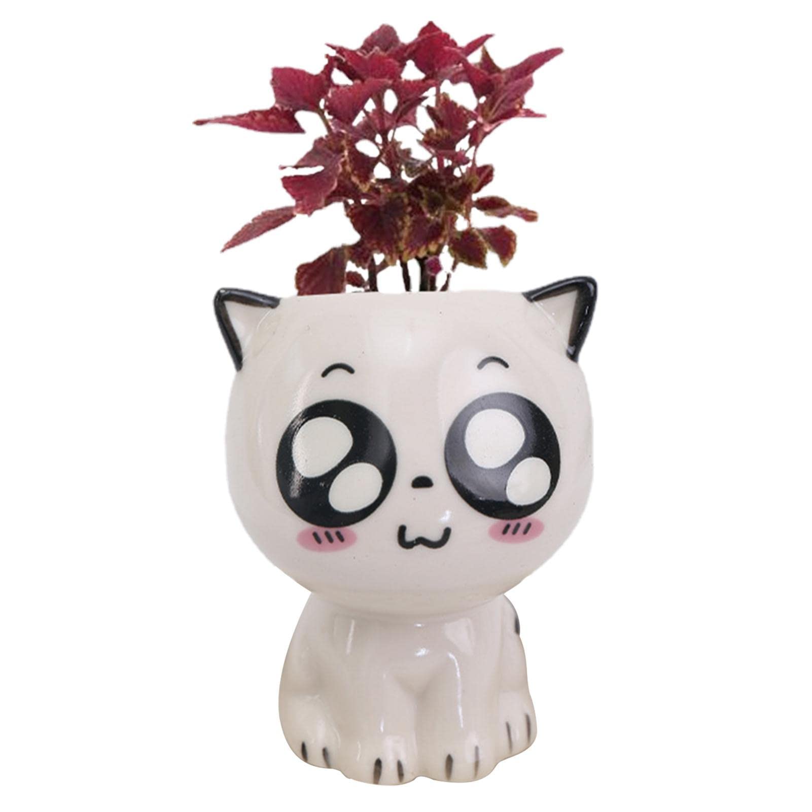 Vaso a forma di gatto addormentato – Grazioso organizer da scrivania per piante grasse o piccole piante – Adorabile decorazione per la casa e l'ufficio - Italia