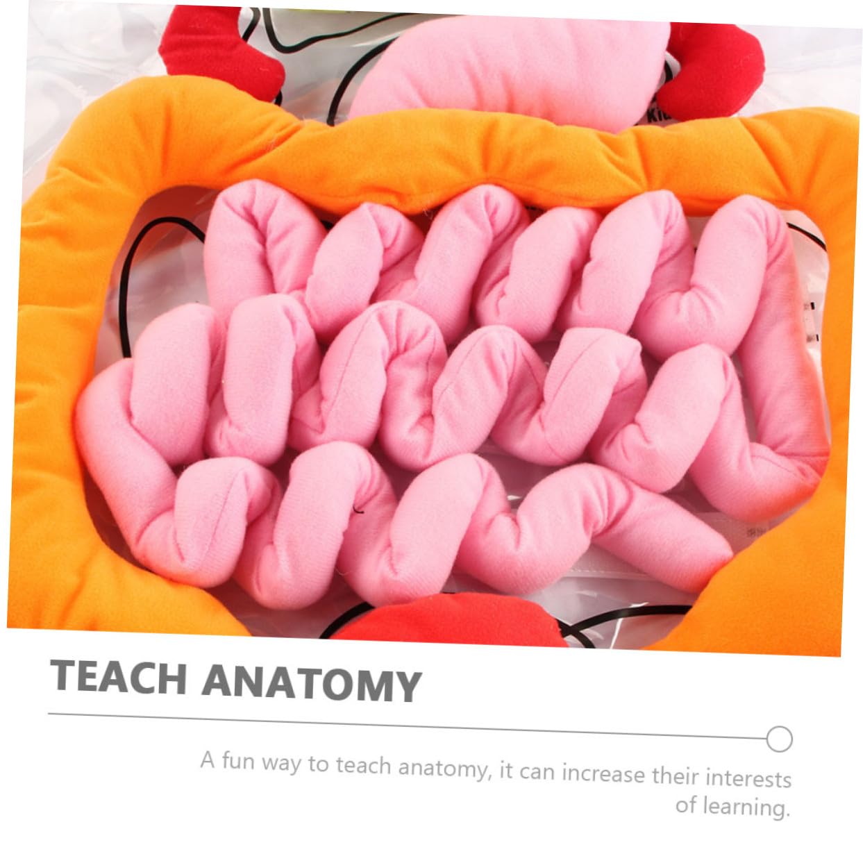 Toyvian Delantal Infantil 3D para Enseñanza de Anatomía Órganos del Cuerpo Humano, Material Didáctico de Plástico y Algodón PP para Educación Preescolar y Jardín de Infancia