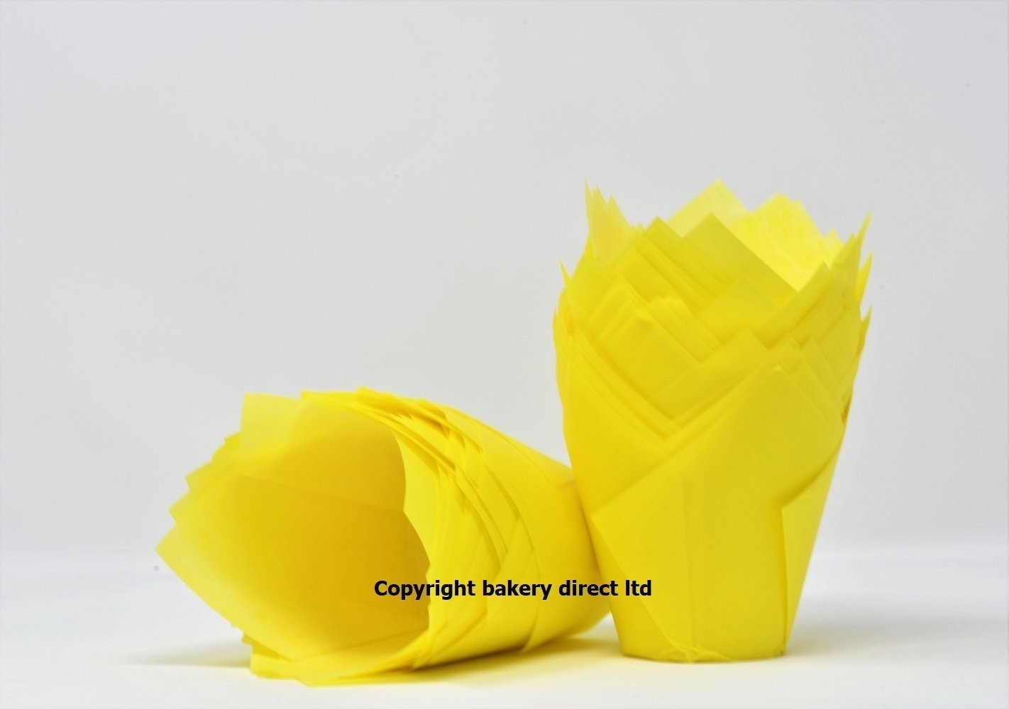 Bakery Direct Ltd Yellow Bakery Direct 50 Spring Tulip Muffin Wraps Cases Freepost