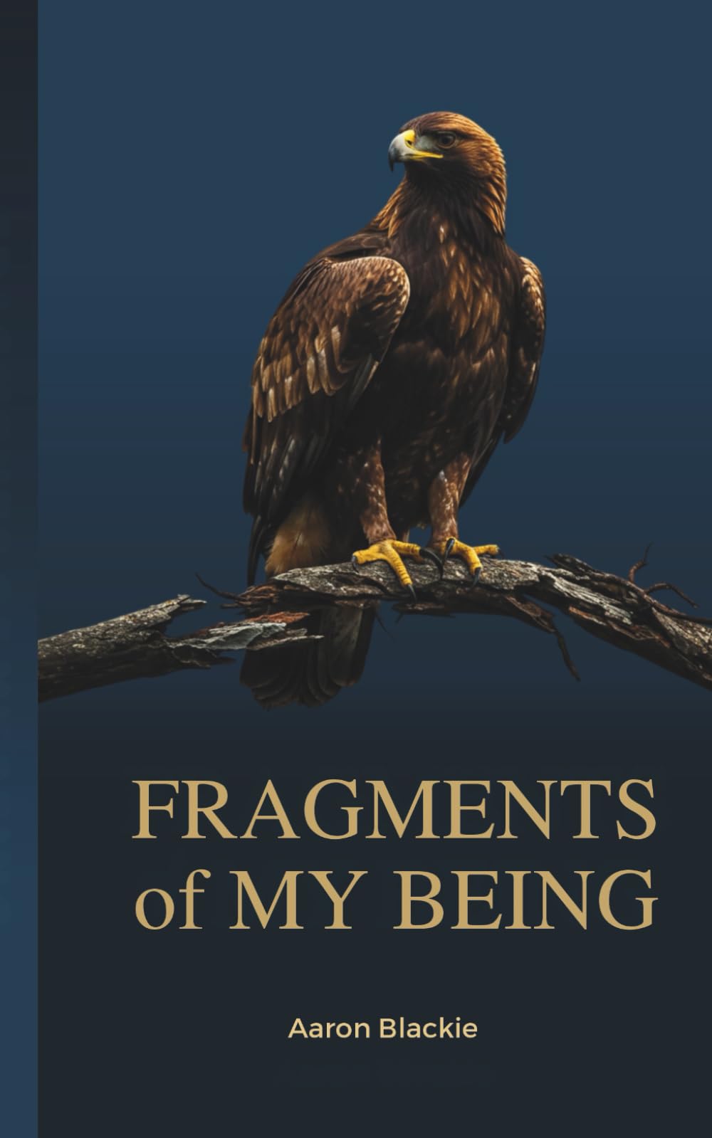 FRAGMENTS OF MY BEING