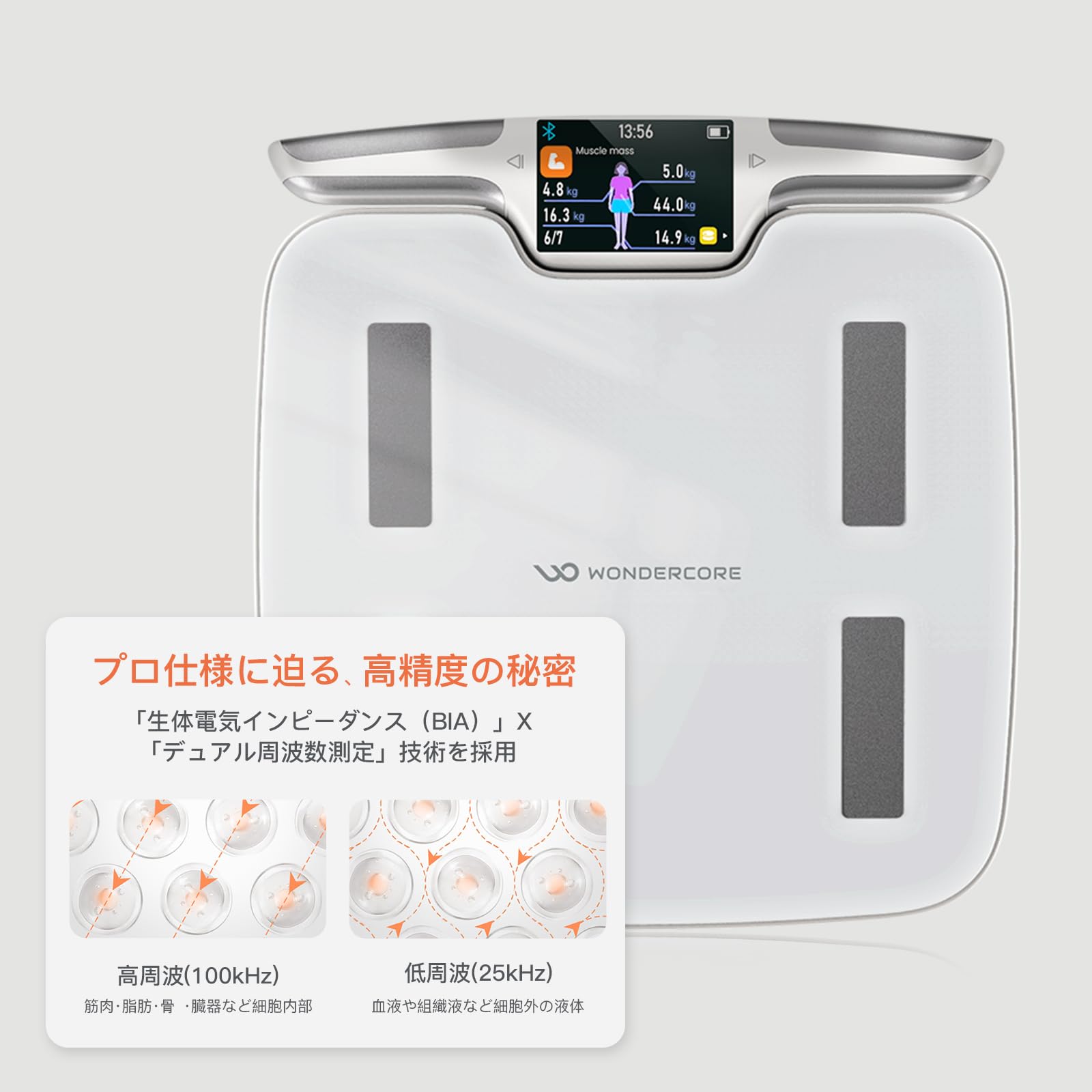 Amazon.co.jp: ワンダーコア FitSpec - 体重計 AI×体組成計 体組成計
