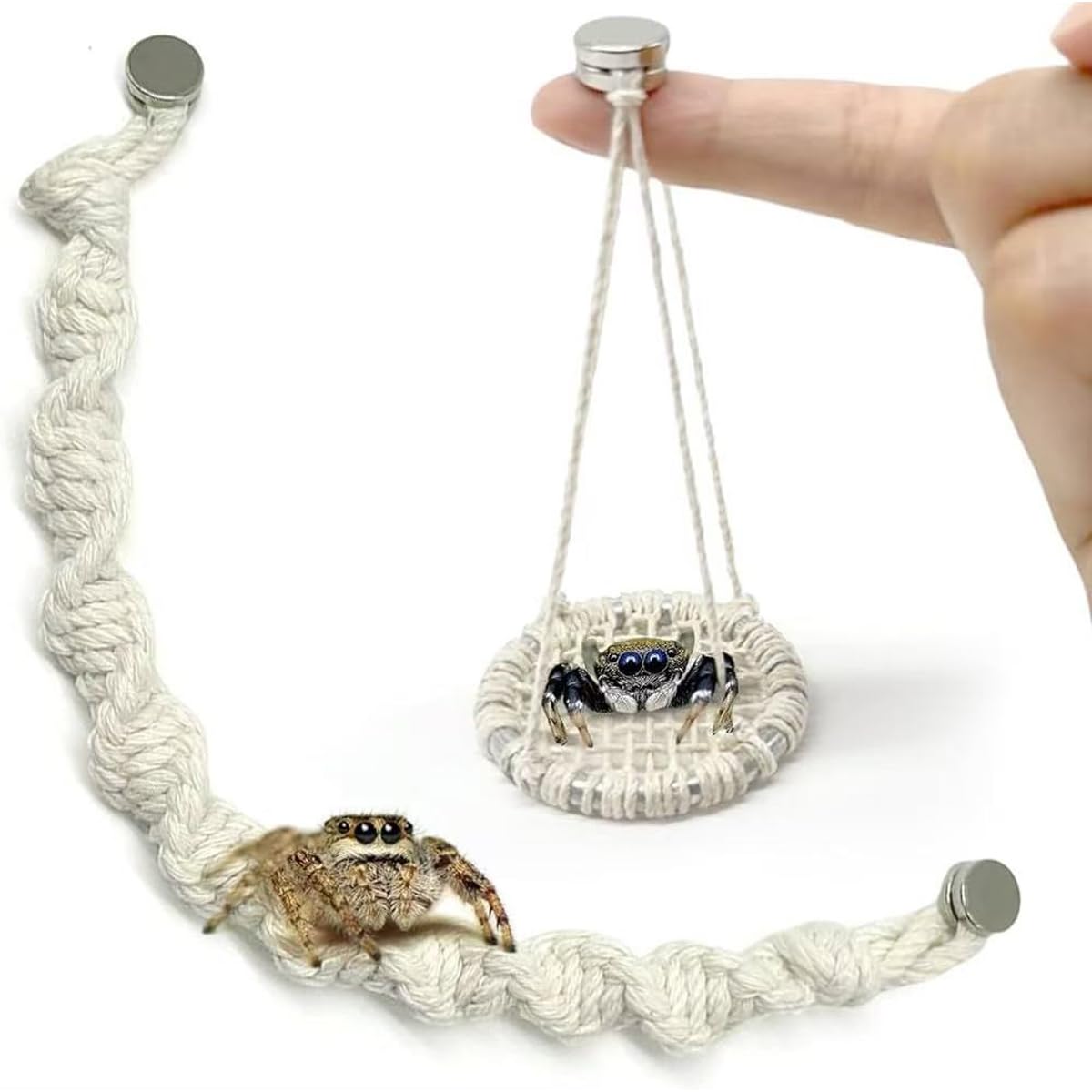 2 Pack Jumping Spider Rope Bridge Swings, Natural Cotton Rope Handmade Magnetic Mounting Jumping Spider Accessories for Medium Jumping Spider Enclosure