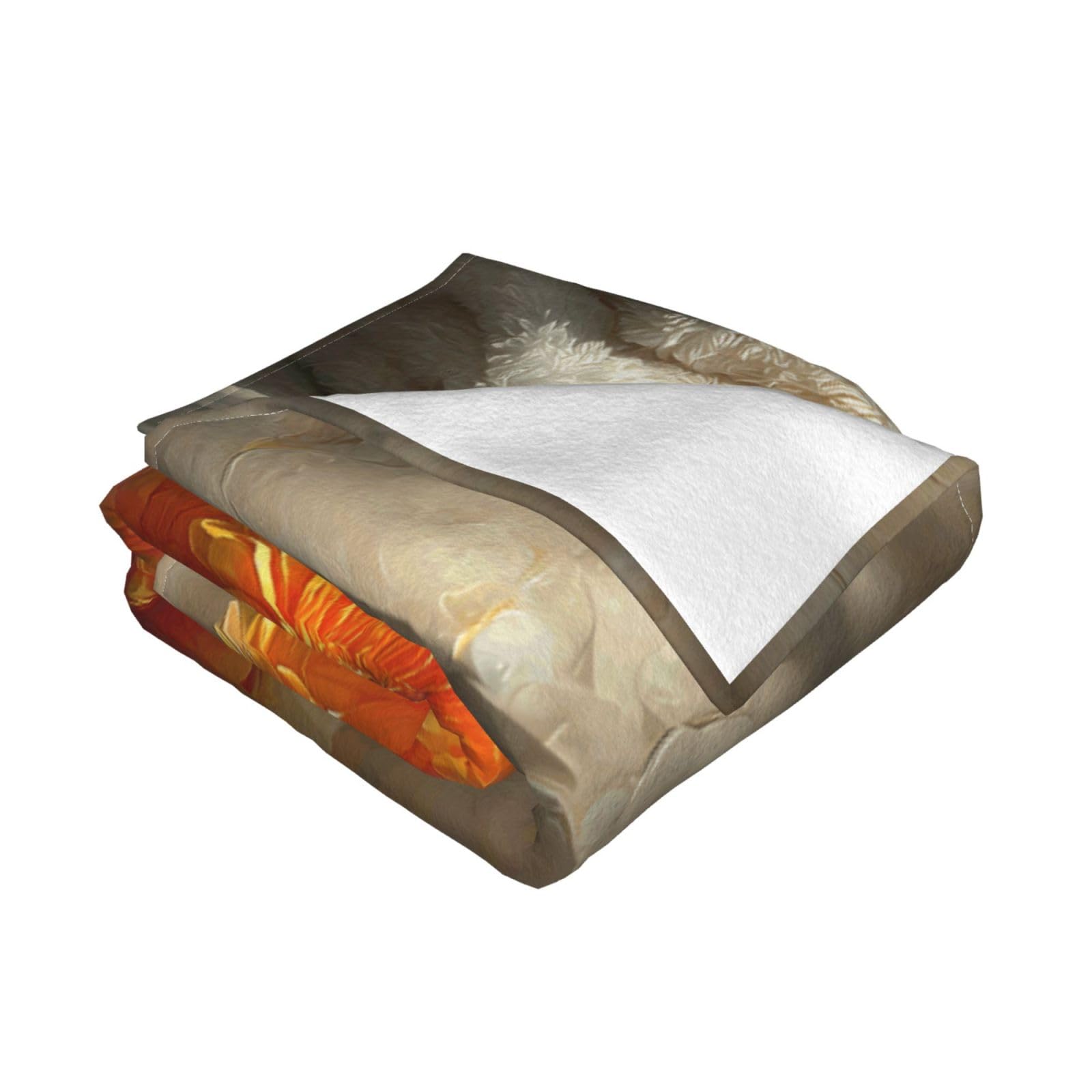 Manta de viaje portátil de 80 x 60 pulgadas, suave, resistente a las arrugas, plegable, exquisita impresión de escritorio cálida