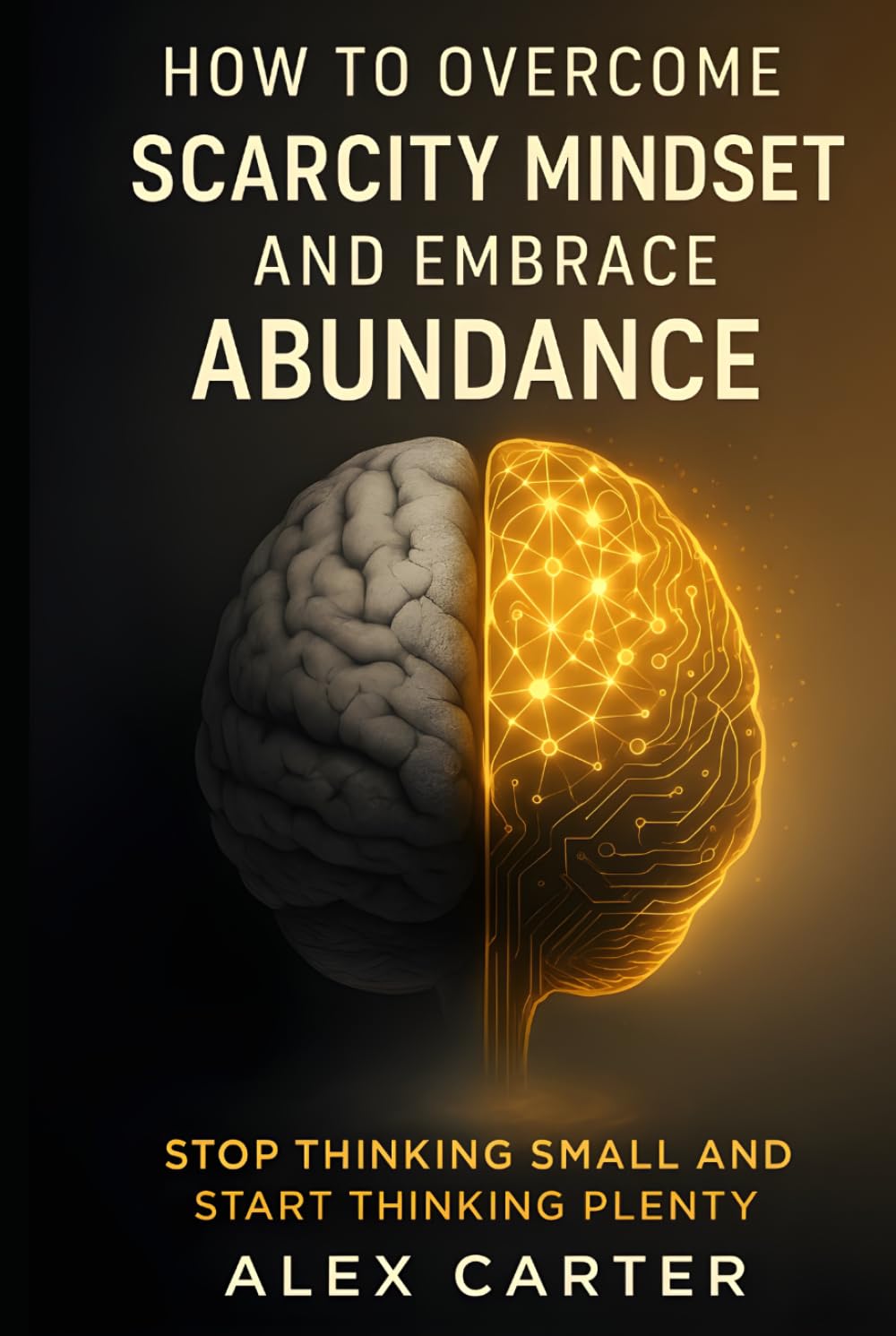 How to Overcome a Scarcity Mindset and Embrace Abundance: Stop Thinking Small and Start Thinking Plenty (The Wealth Series)