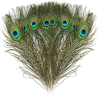 MWOOT 15pcs Natural Peacock Eye Feathers, Screen Green Tail Eye Feathers for DIY Craft,Costume,Wedding Holiday Party Decoration 11.02-12.6inch (28-32CM)