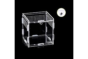 PremiumPraying MantisTerrarium-AnElegantEnclosure for SmallArthropods