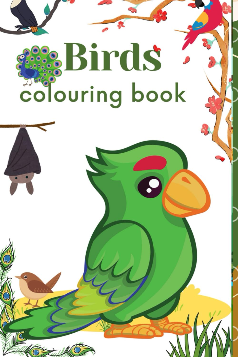 Birds colouring book