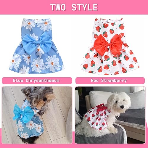 Miniatura 2 de Vestido de perro para perros pequeños, niña, cachorro, tutú, princesa, flores, primavera, verano, paquete de 2 (XL, azul + rojo)