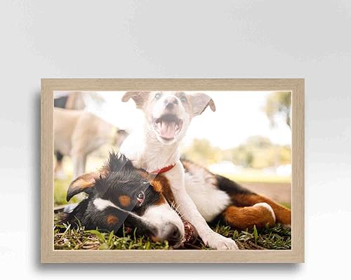 Miniatura 3 de Marco de fotos de madera real gris de 23 x 33 pulgadas de ancho de 1 pulgada  Profundidad del marco interior de 0.5 pulgadas  Marco de fotos