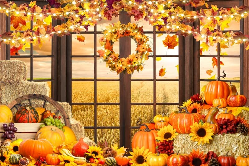 Thanksgiving Autumn Fall Backdrop - Pumpkin Maple Vegetable Fruit Photography Background 10x8ft(300x240cm) Extra Large Banner Photo Studio Props