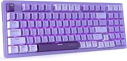 HUO JI Teclado mecânico para jogos compacto com fio USB com teclado numérico, retroiluminação LED roxo, interruptor vermelho, cabo tipo C destacável, 94 teclas para PC/computador/laptop, roxo e branco