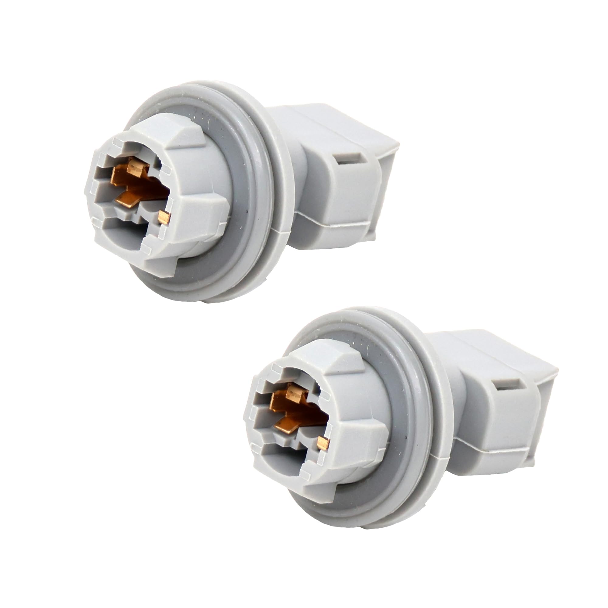 Amazon.com: Michigan Motorsports License Plate Socket, Light