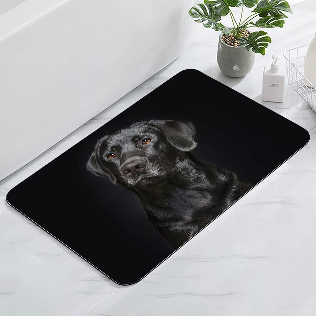 Black Lab Bath Mat Non Slip Washable, Dog Labrador Retriever Bathroom Rugs for Shower Room Bathtub, 17"x24"