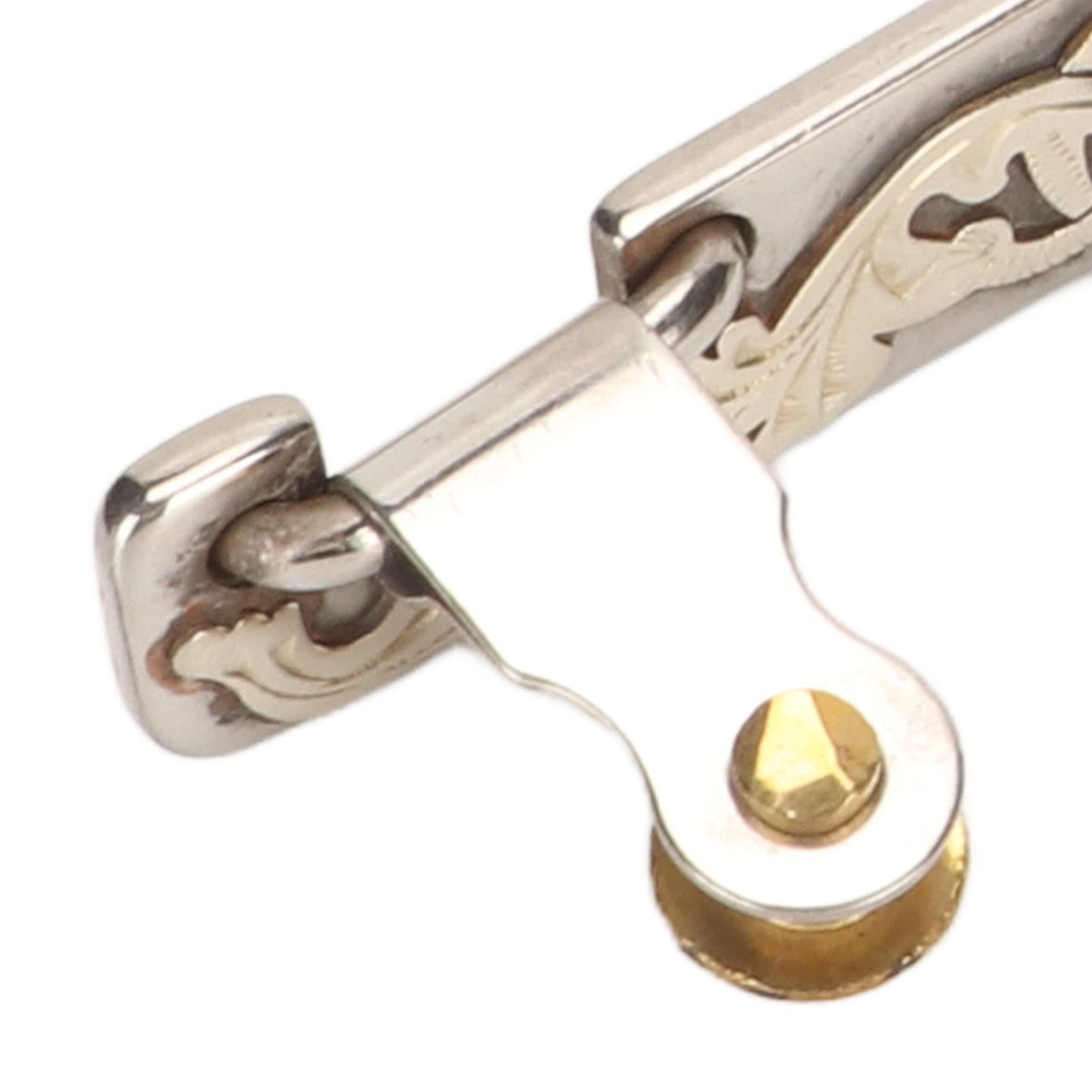 Amazon.co.jp: EVTSCan 1 ペア馬拍車、ステンレス鋼乗馬拍車