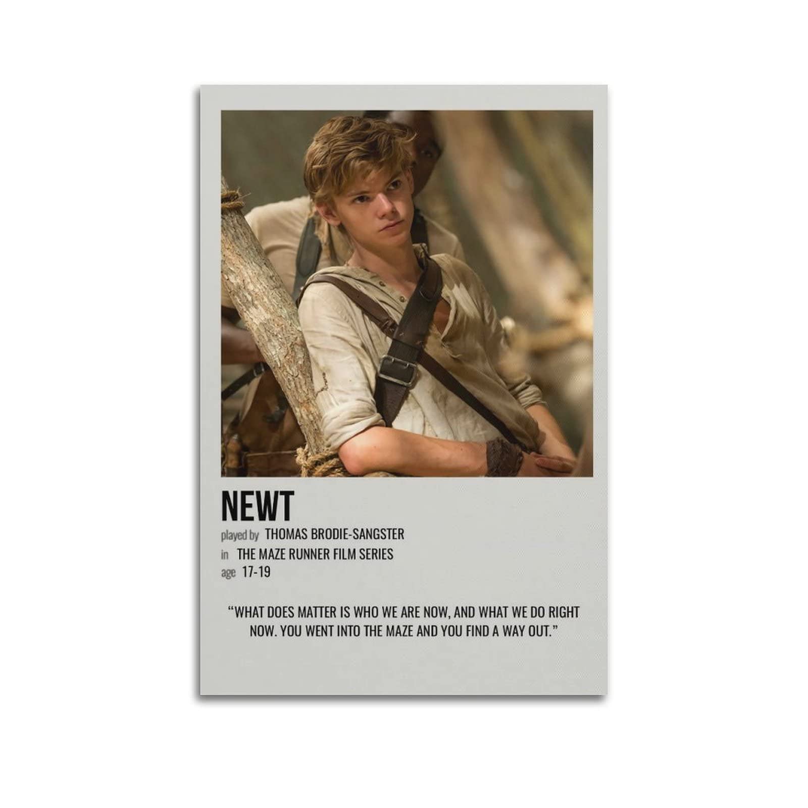 The Maze Runner Movie Canvas Art Aesthetic Poster for Bedroom and Living Room Walls - 12x18inch(30x45cm) Unframe-style