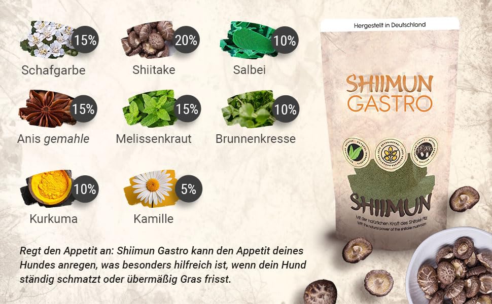 Bellfor Shiimun Gastro - Dietary Supplement for Dogs with Shiitake to Support Normal Digestive Function - 50 g - Image 4
