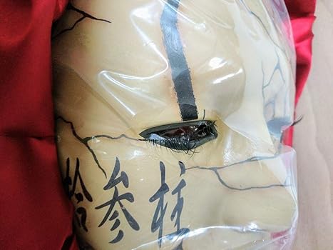 GACKT 本人型取り マスク
