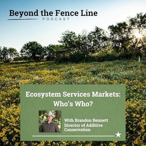 Beyond The Fence Line Episode 37 - Ecosystem Services Markets: Who's Who?
