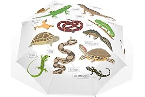 Rugged and Convenient Pet Umbrella