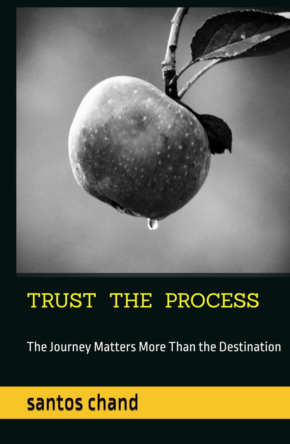 TRUST THE PROCESS: The Journey Matters More Than the Destination