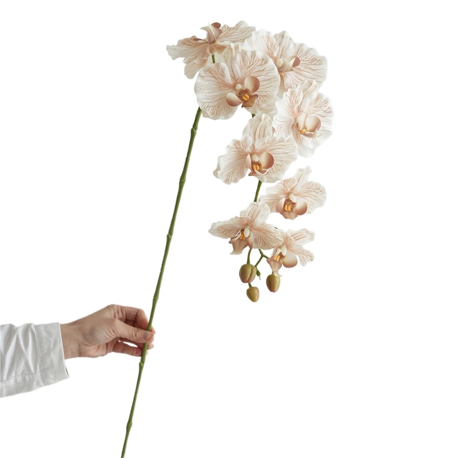 FonHNDG Artificial Flower Branches Artificial Phalaenopsis Orchid Flowers Wedding Decorative Realistic Long Stems 9 Heads Home Indoor Decor(Color4)