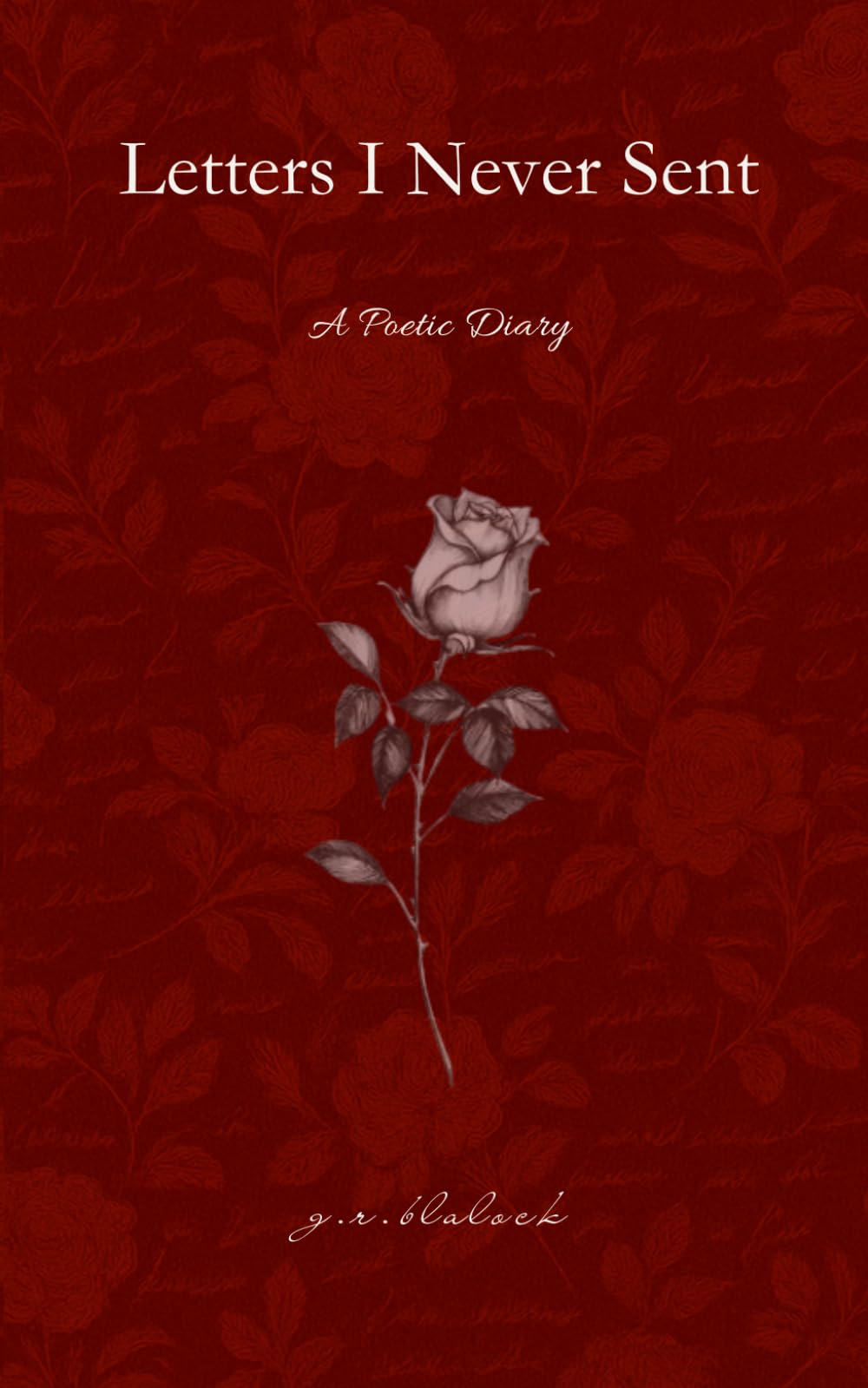 Letters I Never Sent: A Poetic Diary
