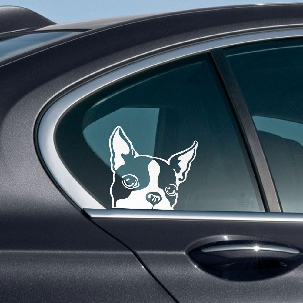 WIRESTER 6 inch Clear Vinyl Decal Sticker Decoration for Car Window (Or Any Flat Surface) - Boston Terrier Dog