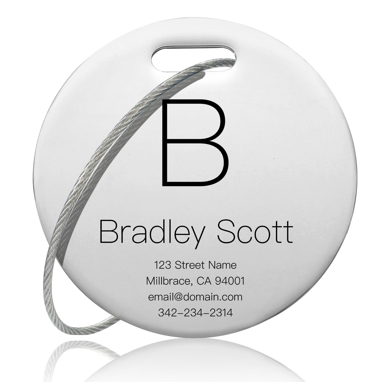 Customized Stainless Steel Luggage Tags: Personalize Your Suitcases, Backpacks, and Bags with Your Text (Silver)