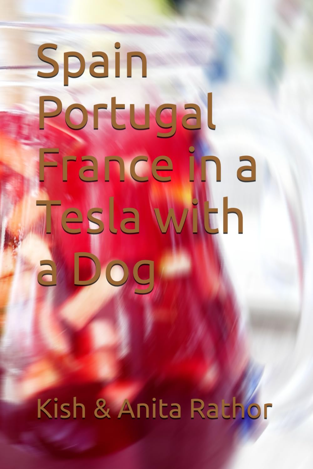 Spain Portugal France in a Tesla with a Dog