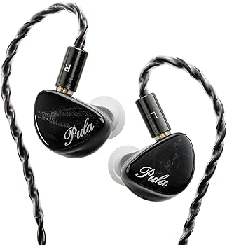 Amazon.co.jp: HiFiGo 有線 イヤホン モニターイヤホン イヤモニ 1DD