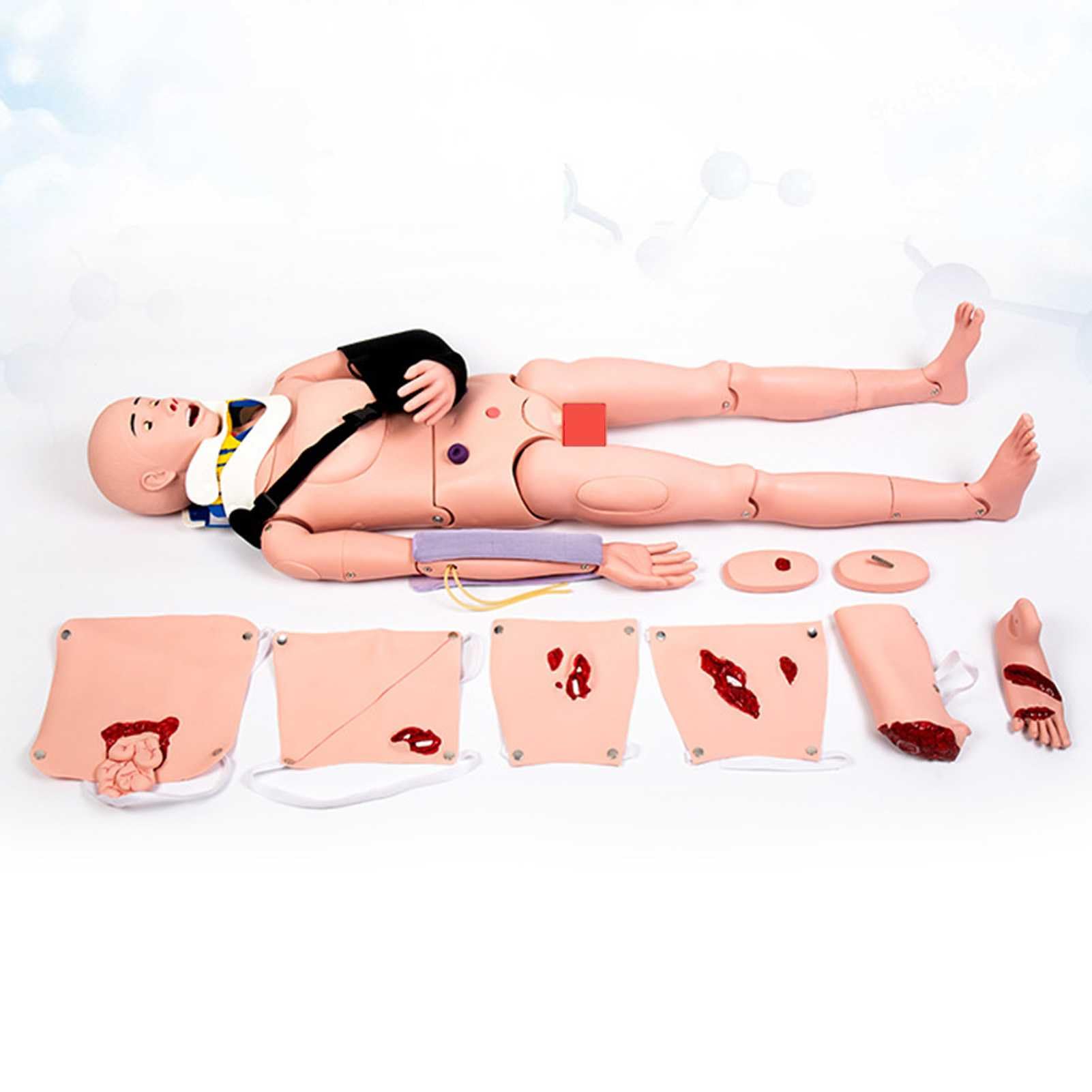 wency Patient Care Nursing Manikin, First Aid External Fixation Trauma Training Manikin Life-Size Whole Body Care Manikins Male Training Wound Mannequin Model for Nursing Medical Teaching Supplies