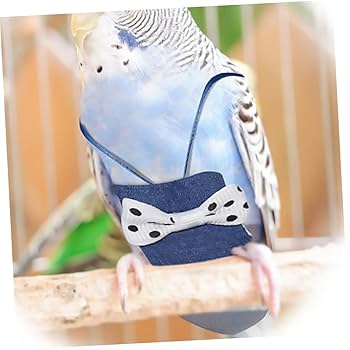 Amazon.co.jp: POPETPOP 鳥用おむつフライトスーツ 洗えるオウム