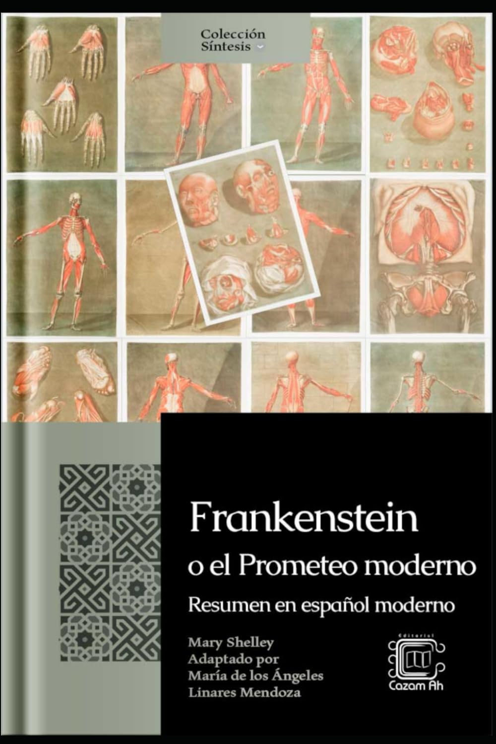 Frankenstein o el Prometeo moderno: Resumen en español moderno