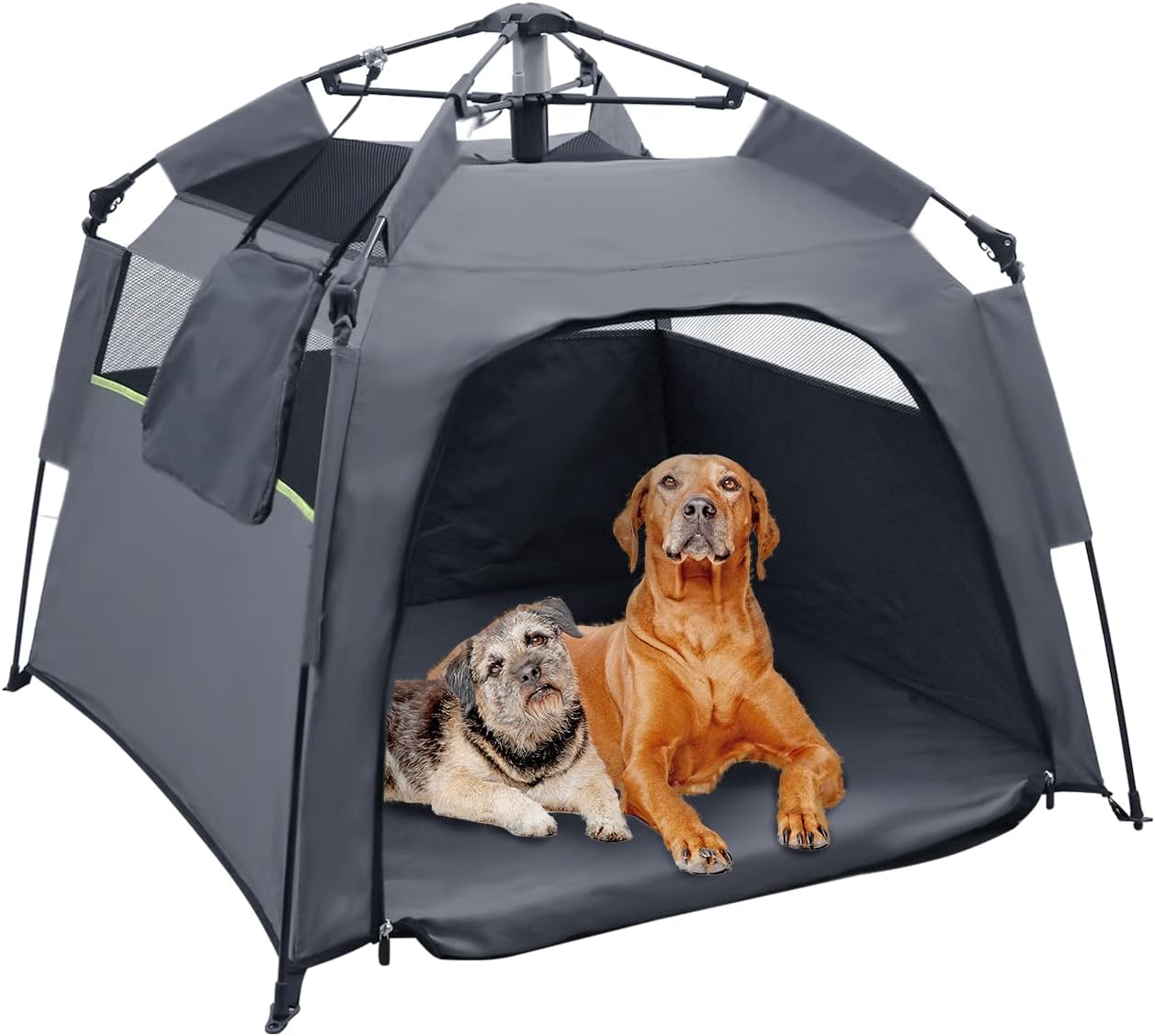 Pop Up Dog Tents