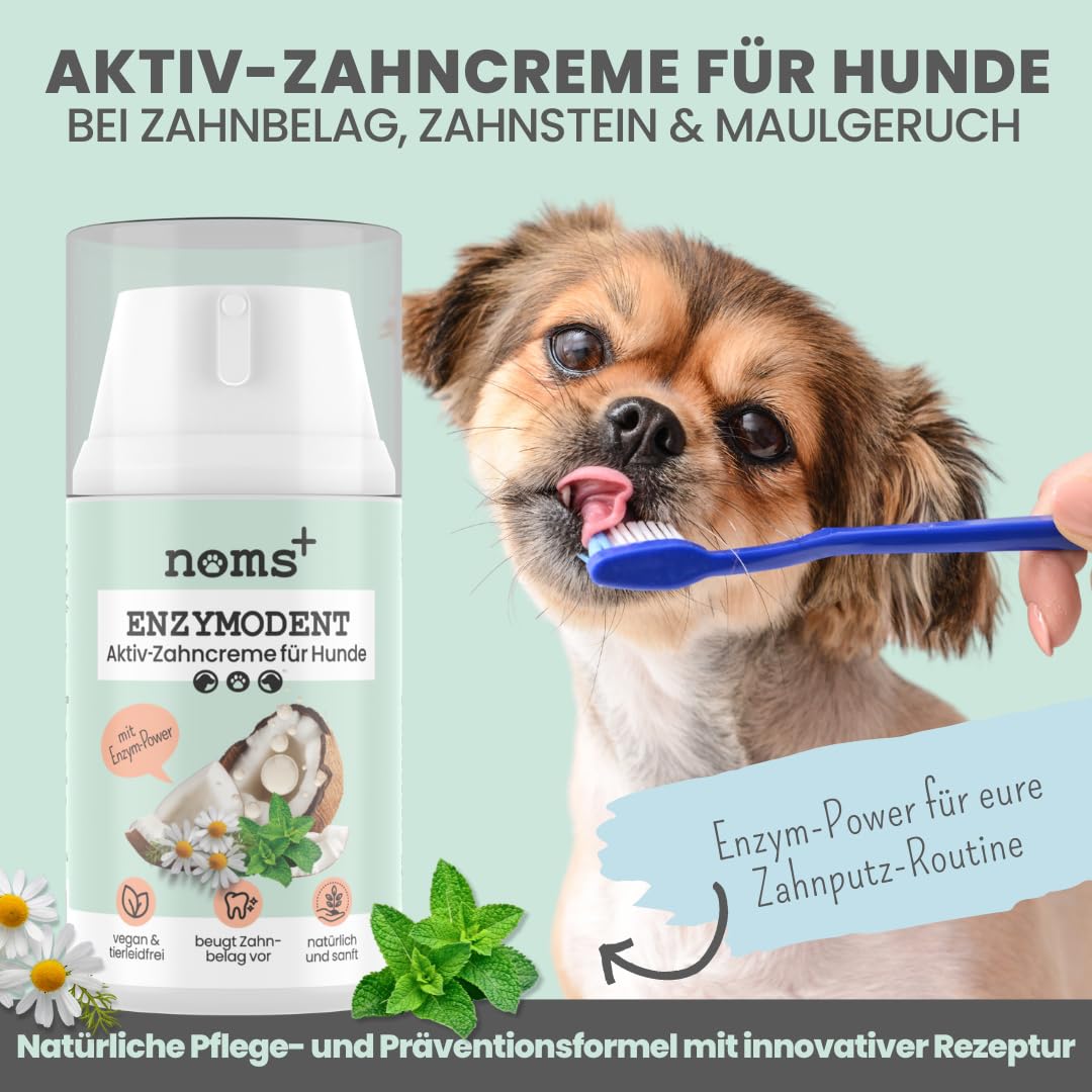 noms+ Enzymodent Enzymatische Hundezahnpasta mit natürlicher Pflege- und Präventionsformel gegen Mundgeruch und Zahnstein beim Hund
