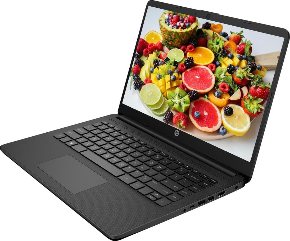 Amazon.com: HP Portable 13.9