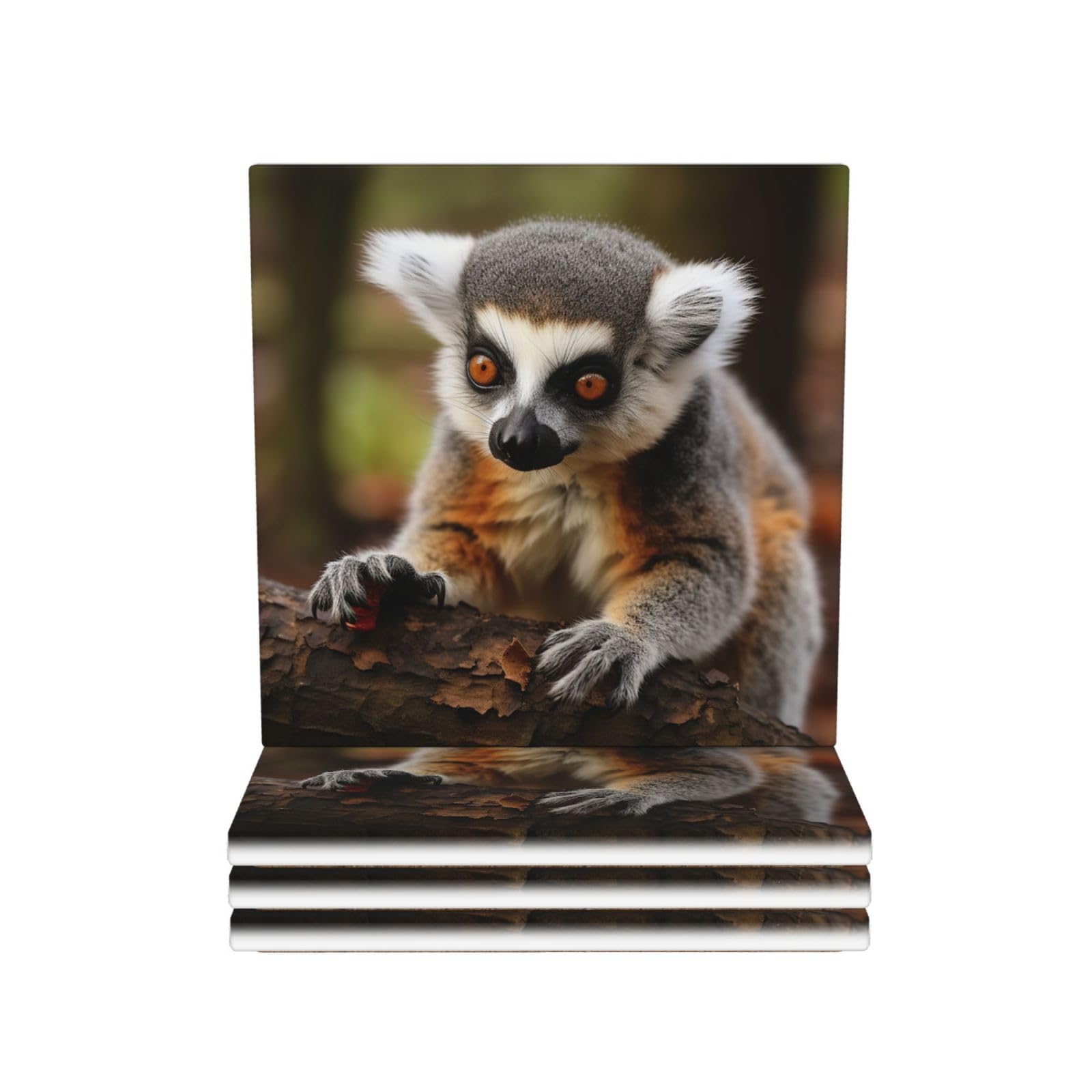 Dessous de verre en céramique lot de 4 absorbants motif lémurien